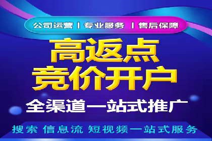 信息流广告的崛起：以某电商平台为例